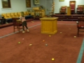 DSCN6679